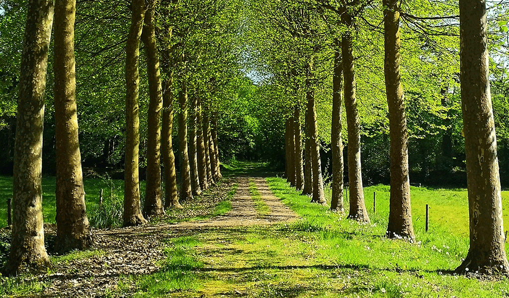 A Walk In The Park Way of Implementing